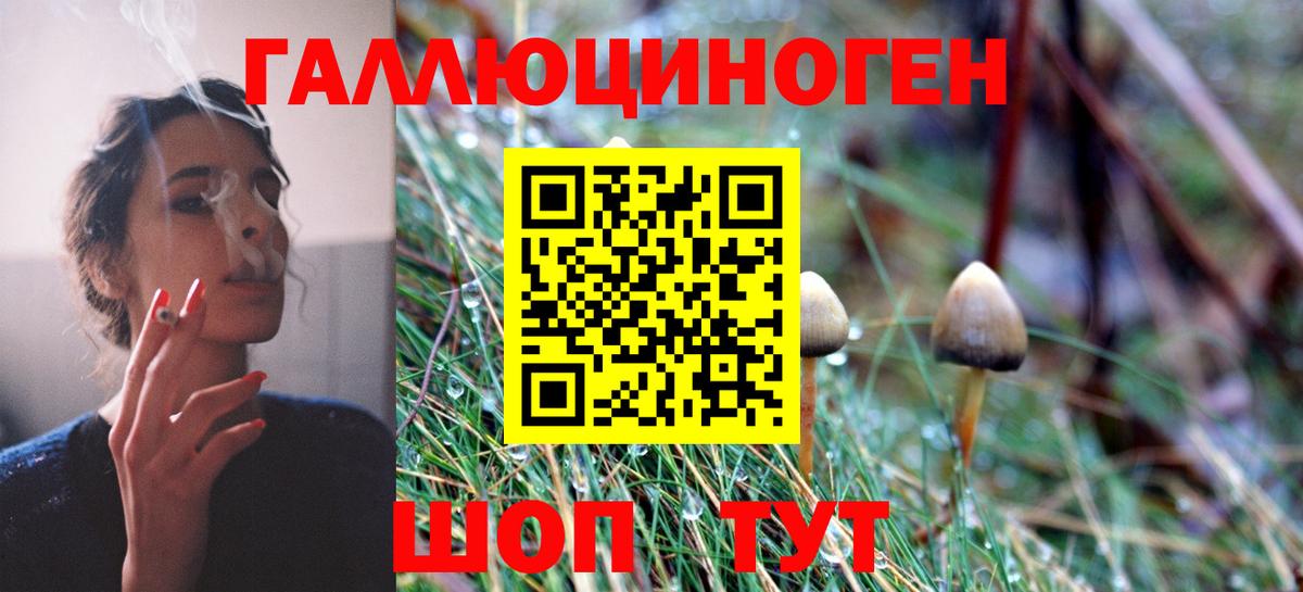 Псилоцибиновые грибы ЛСД  Вход с VPN  Сунжа 